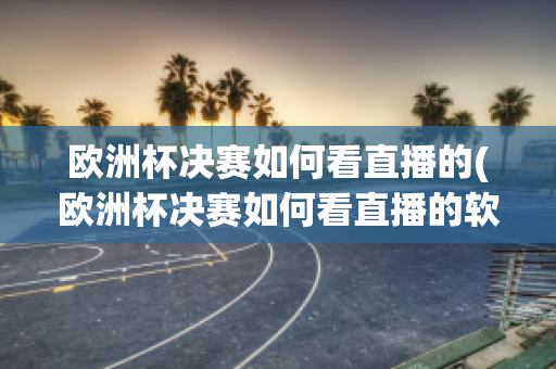 欧洲杯决赛如何看直播的(欧洲杯决赛如何看直播的软件)