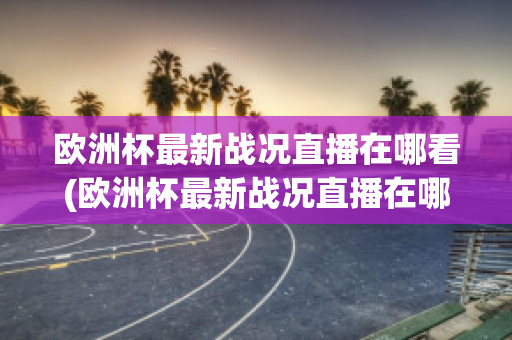 欧洲杯最新战况直播在哪看(欧洲杯最新战况直播在哪看回放)