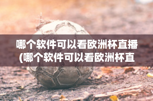 哪个软件可以看欧洲杯直播(哪个软件可以看欧洲杯直播的)