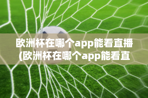 欧洲杯在哪个app能看直播(欧洲杯在哪个app能看直播啊)