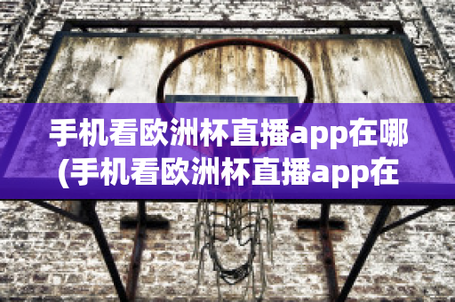 手机看欧洲杯直播app在哪(手机看欧洲杯直播app在哪看)