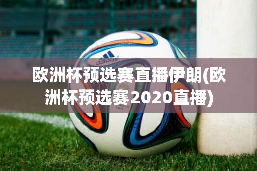 欧洲杯预选赛直播伊朗(欧洲杯预选赛2020直播)