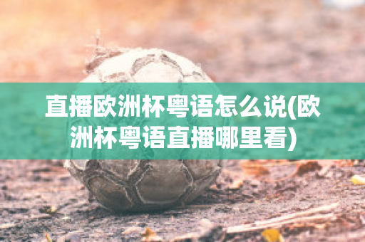 直播欧洲杯粤语怎么说(欧洲杯粤语直播哪里看)