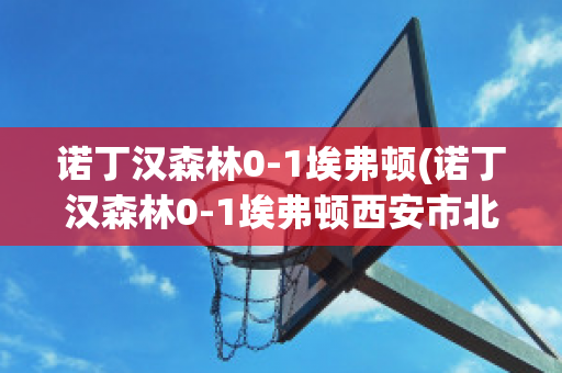 诺丁汉森林0-1埃弗顿(诺丁汉森林0-1埃弗顿西安市北郊保安招聘)