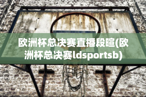 欧洲杯总决赛直播段暄(欧洲杯总决赛ldsportsb)