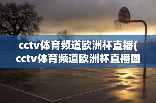 cctv体育频道欧洲杯直播(cctv体育频道欧洲杯直播回放)