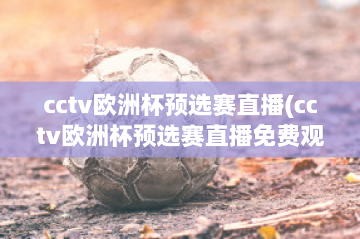 cctv欧洲杯预选赛直播(cctv欧洲杯预选赛直播免费观看)