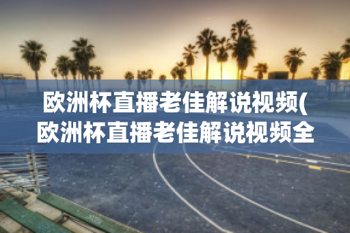 欧洲杯直播老佳解说视频(欧洲杯直播老佳解说视频全集)