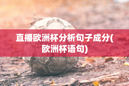 直播欧洲杯分析句子成分(欧洲杯语句)