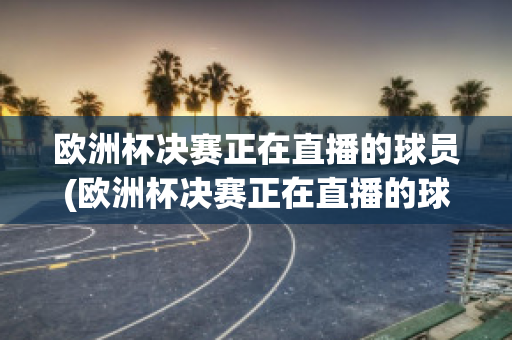 欧洲杯决赛正在直播的球员(欧洲杯决赛正在直播的球员有哪些)