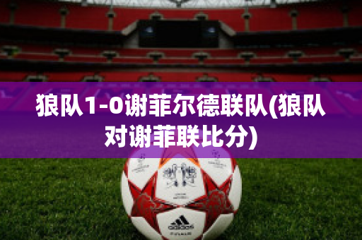 狼队1-0谢菲尔德联队(狼队对谢菲联比分)