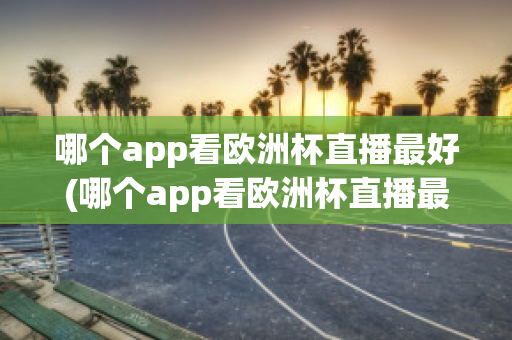 哪个app看欧洲杯直播最好(哪个app看欧洲杯直播最好用)