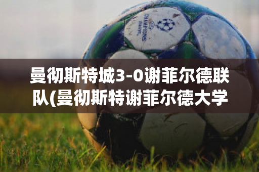 曼彻斯特城3-0谢菲尔德联队(曼彻斯特谢菲尔德大学)