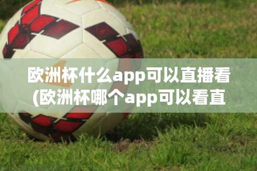 欧洲杯什么app可以直播看(欧洲杯哪个app可以看直播)