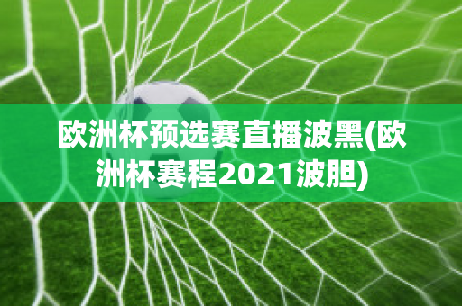 欧洲杯预选赛直播波黑(欧洲杯赛程2021波胆)