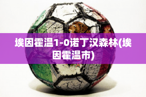 埃因霍温1-0诺丁汉森林(埃因霍温市)