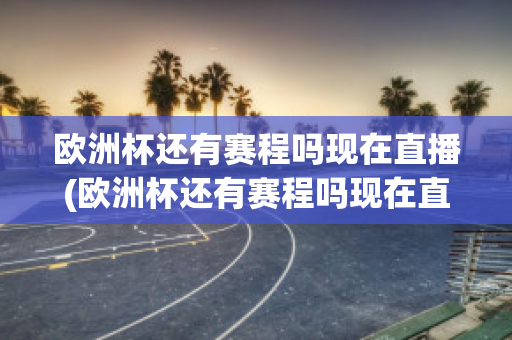 欧洲杯还有赛程吗现在直播(欧洲杯还有赛程吗现在直播在哪看)