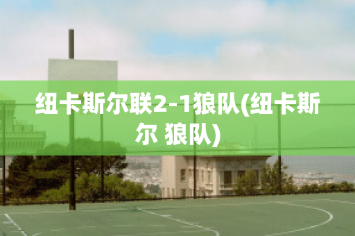 纽卡斯尔联2-1狼队(纽卡斯尔 狼队)