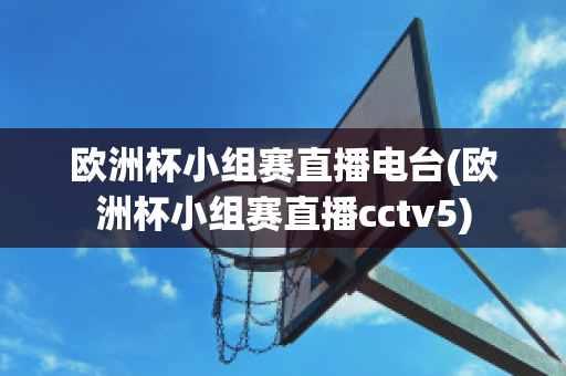 欧洲杯小组赛直播电台(欧洲杯小组赛直播cctv5)