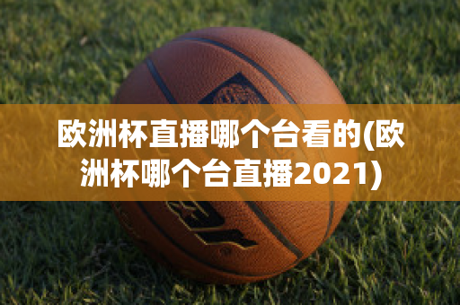 欧洲杯直播哪个台看的(欧洲杯哪个台直播2021)