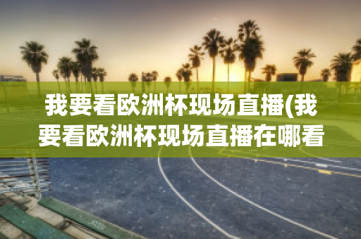 我要看欧洲杯现场直播(我要看欧洲杯现场直播在哪看)