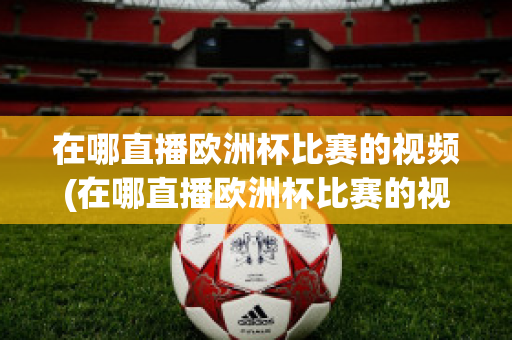 在哪直播欧洲杯比赛的视频(在哪直播欧洲杯比赛的视频回放)