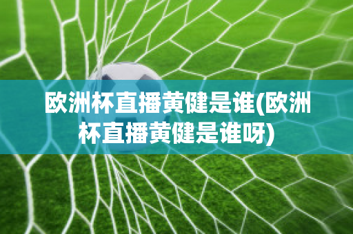 欧洲杯直播黄健是谁(欧洲杯直播黄健是谁呀)