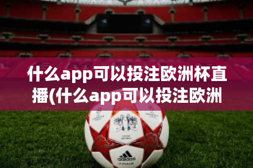 什么app可以投注欧洲杯直播(什么app可以投注欧洲杯直播软件)