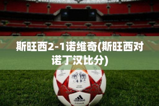 斯旺西2-1诺维奇(斯旺西对诺丁汉比分)