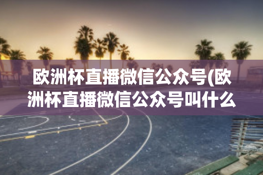 欧洲杯直播微信公众号(欧洲杯直播微信公众号叫什么)