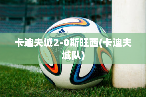 卡迪夫城2-0斯旺西(卡迪夫城队)