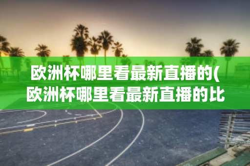 欧洲杯哪里看最新直播的(欧洲杯哪里看最新直播的比赛)