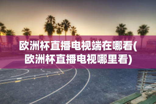 欧洲杯直播电视端在哪看(欧洲杯直播电视哪里看)