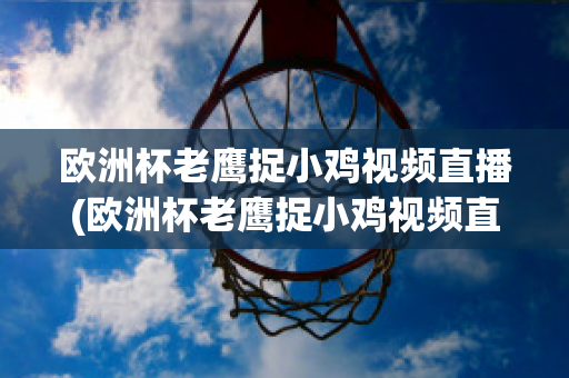 欧洲杯老鹰捉小鸡视频直播(欧洲杯老鹰捉小鸡视频直播在线观看)