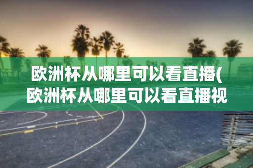 欧洲杯从哪里可以看直播(欧洲杯从哪里可以看直播视频)