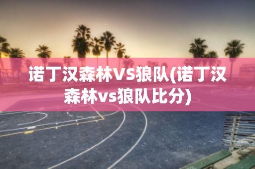 诺丁汉森林VS狼队(诺丁汉森林vs狼队比分)