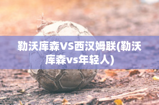 勒沃库森VS西汉姆联(勒沃库森vs年轻人)