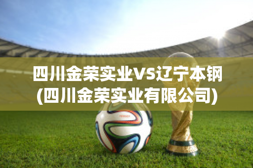 四川金荣实业VS辽宁本钢(四川金荣实业有限公司)