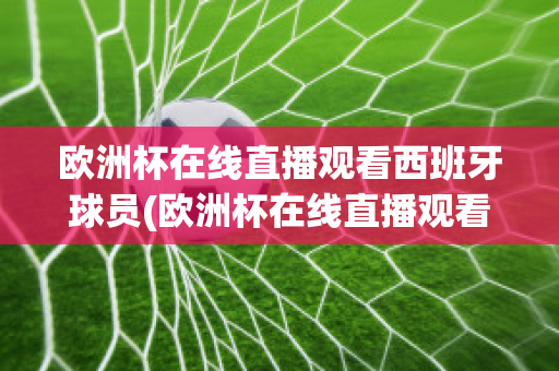 欧洲杯在线直播观看西班牙球员(欧洲杯在线直播观看西班牙球员视频)