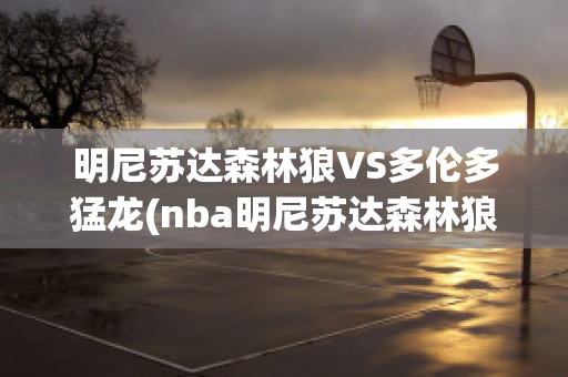 明尼苏达森林狼VS多伦多猛龙(nba明尼苏达森林狼队)