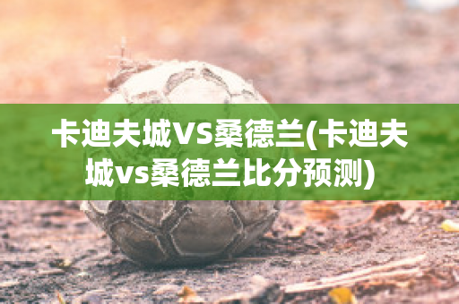 卡迪夫城VS桑德兰(卡迪夫城vs桑德兰比分预测)