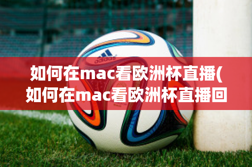 如何在mac看欧洲杯直播(如何在mac看欧洲杯直播回放)