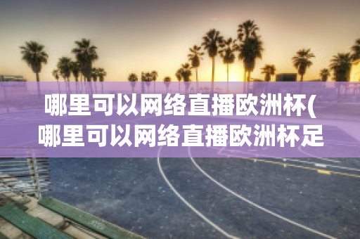 哪里可以网络直播欧洲杯(哪里可以网络直播欧洲杯足球比赛)