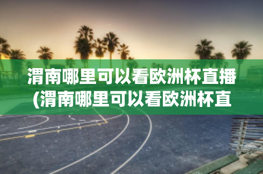 渭南哪里可以看欧洲杯直播(渭南哪里可以看欧洲杯直播的地方)