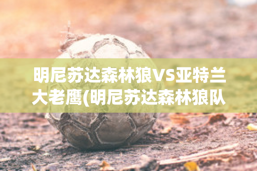 明尼苏达森林狼VS亚特兰大老鹰(明尼苏达森林狼队)