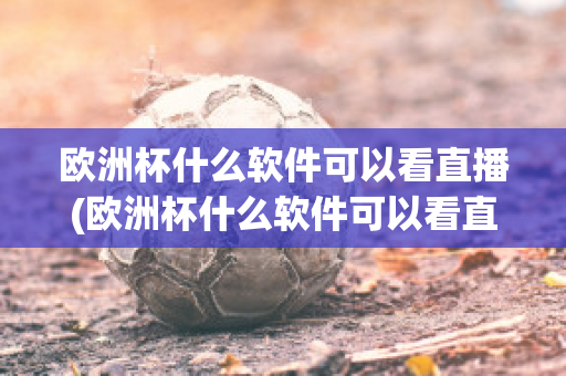 欧洲杯什么软件可以看直播(欧洲杯什么软件可以看直播的)