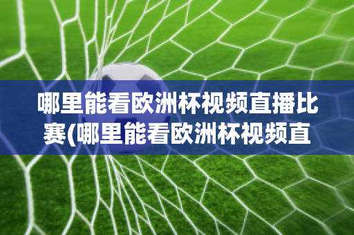 哪里能看欧洲杯视频直播比赛(哪里能看欧洲杯视频直播比赛呢)