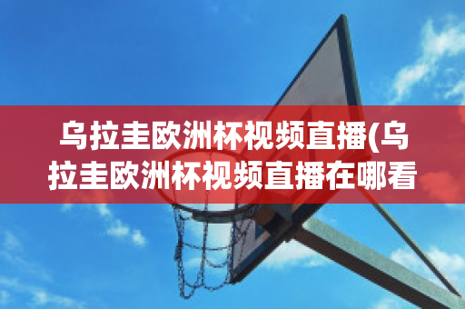 乌拉圭欧洲杯视频直播(乌拉圭欧洲杯视频直播在哪看)