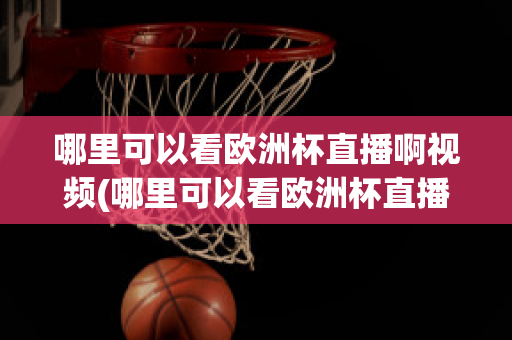 哪里可以看欧洲杯直播啊视频(哪里可以看欧洲杯直播啊视频回放)