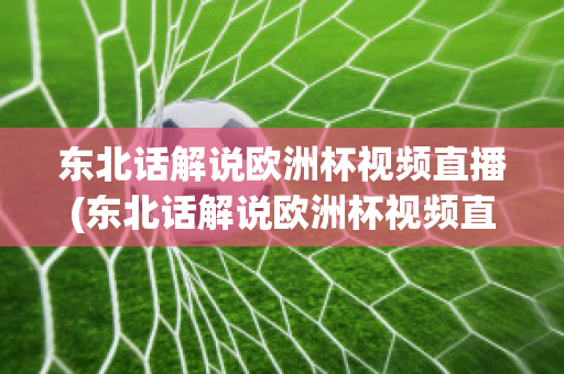 东北话解说欧洲杯视频直播(东北话解说欧洲杯视频直播回放)